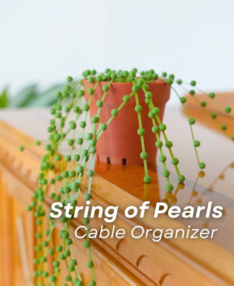 String of Pearls Cable Organizer Pflanze