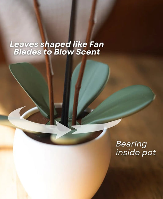 Aromatic Orchid Öl Diffusor