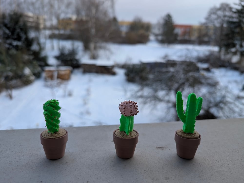 Clicky Cacti