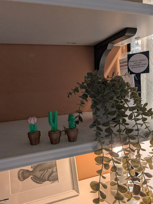 Clicky Cacti